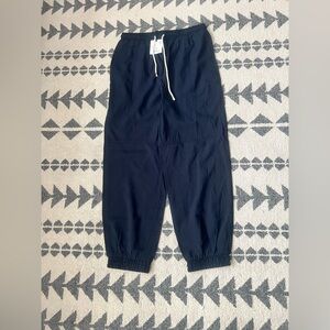 Navy blue Zara pants.  Jogger style